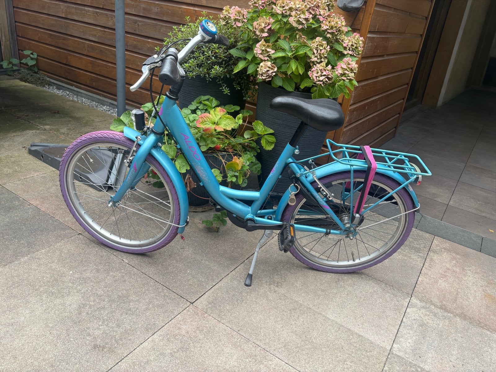 Aldo Kinderfiets 20 inch - Blauw/Paars, Fietsen en Brommers, Ophalen, Terugtraprem, Gebruikt, Handrem