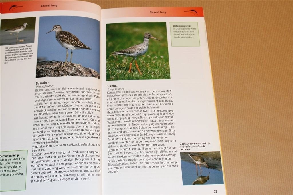Vogels van Europa — Observeren, Herkennen en Beschermen, Ophalen of Verzenden, Gelezen, Vogels
