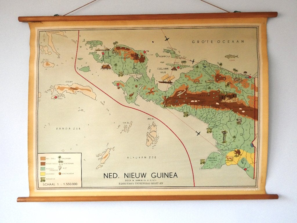 Schoolkaart Nederlands Nieuw Guinea Bakker & Rusch - 1950, Ophalen of Verzenden, Aardrijkskunde