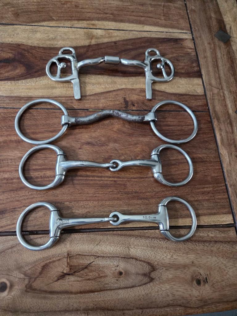 Bitten verschillende maten, Dieren en Toebehoren, Ophalen of Verzenden, Overige soorten