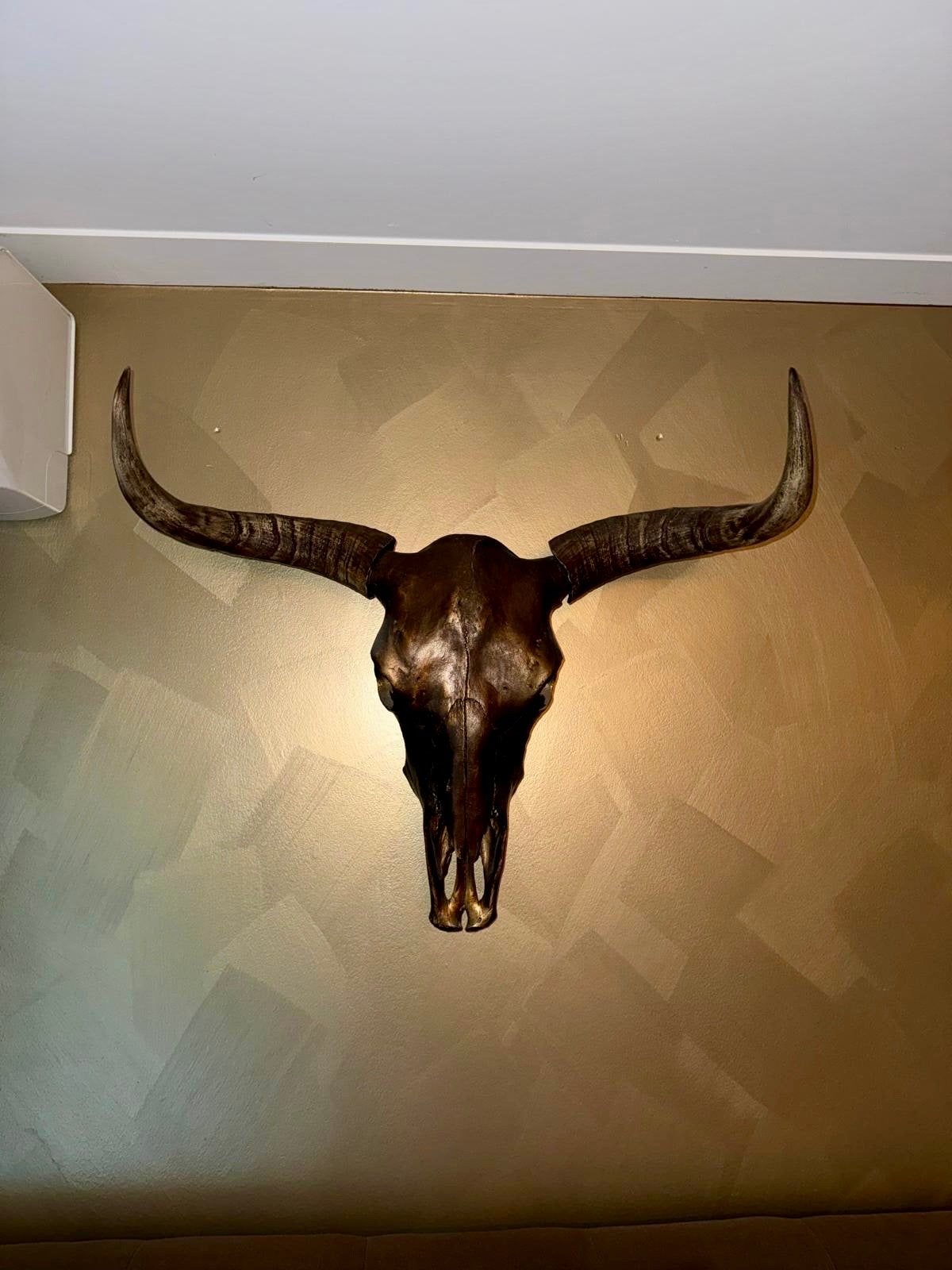 Skull longhornschedel gewei Wanddecoratie, Ophalen, Vintage, Overige materialen, Zo goed als nieuw