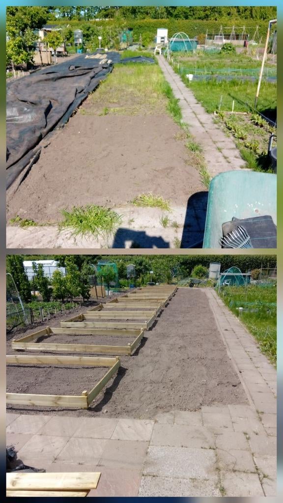 Tuinman/hovenier/tuinhulp gezocht/aangeboden, Garantie, Tuinonderhoud of Snoeiwerk
