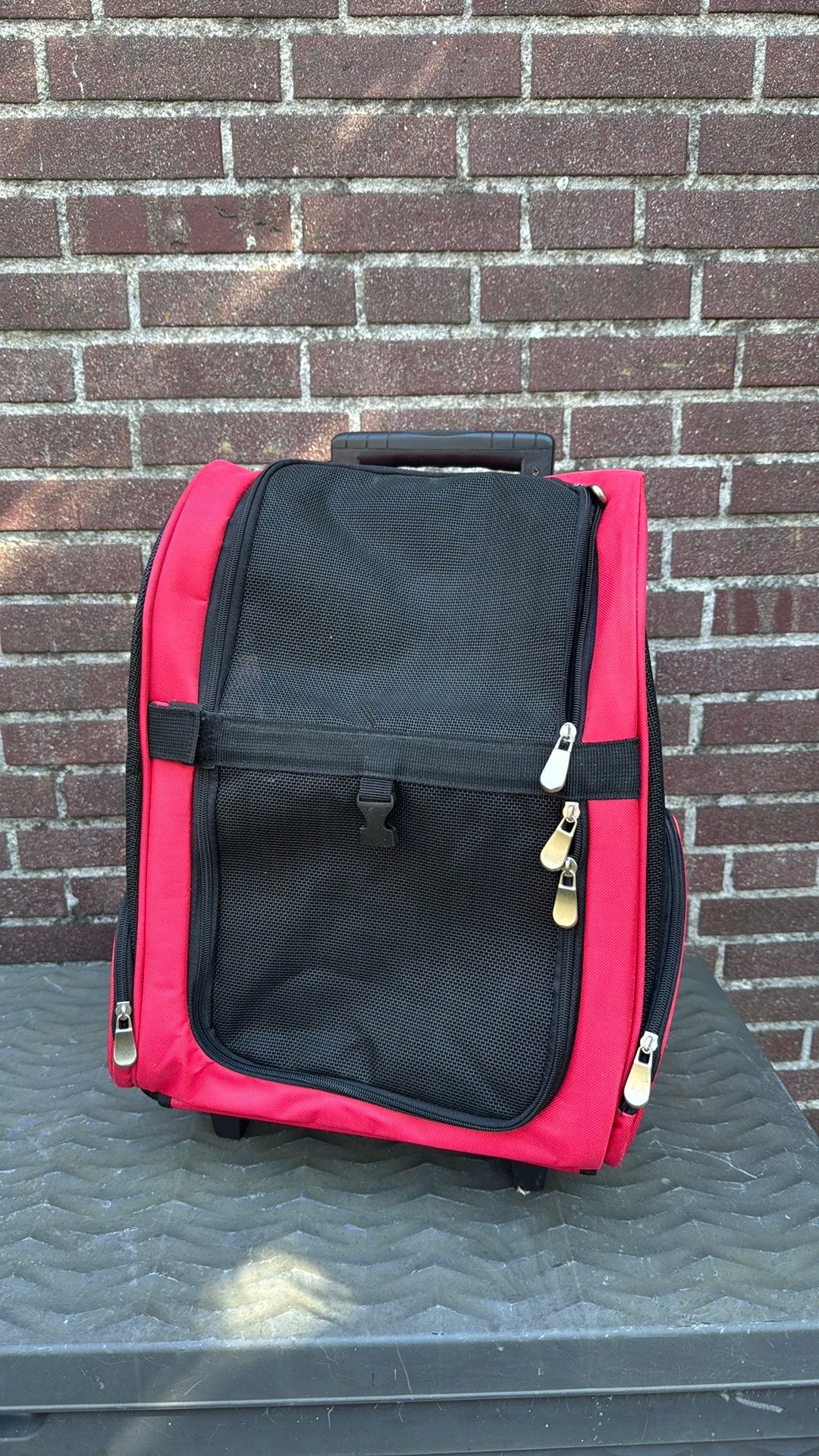 Honden/katten/dieren koffer  // NIEUW, Dieren en Toebehoren, Ophalen, Nieuw