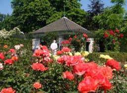 20% per persoon korting entree Kasteeltuinen Arcen, Tickets en Kaartjes, Recreatie | Overige, Drie personen of meer, Kortingskaart