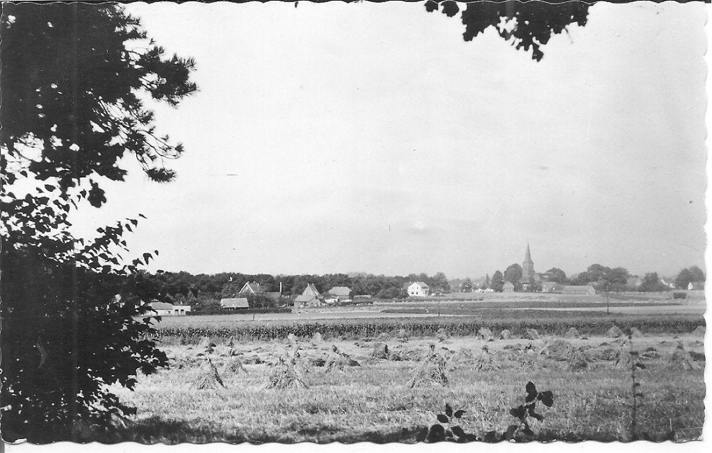 Oude ansichtkaart Beek-Montferland: Panorama op Beek, Ophalen of Verzenden, 1960 tot 1980, Gelopen, Gelderland
