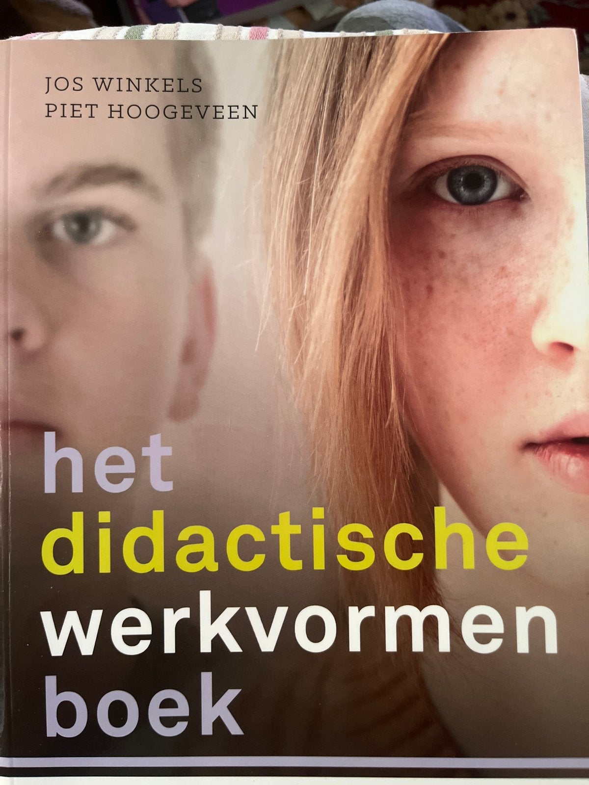 Het didactische werkvormenboek - Jos Winkels & Piet Hoogevee, Boeken, Studieboeken en Cursussen, Ophalen of Verzenden, Gamma, Zo goed als nieuw