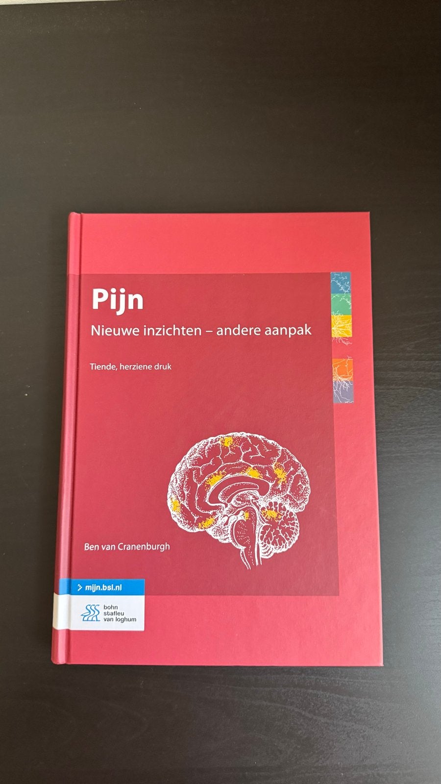 Pijn: Nieuwe inzichten - andere aanpak (10e druk), Boeken, Ophalen of Verzenden, Beta, Zo goed als nieuw, HBO
