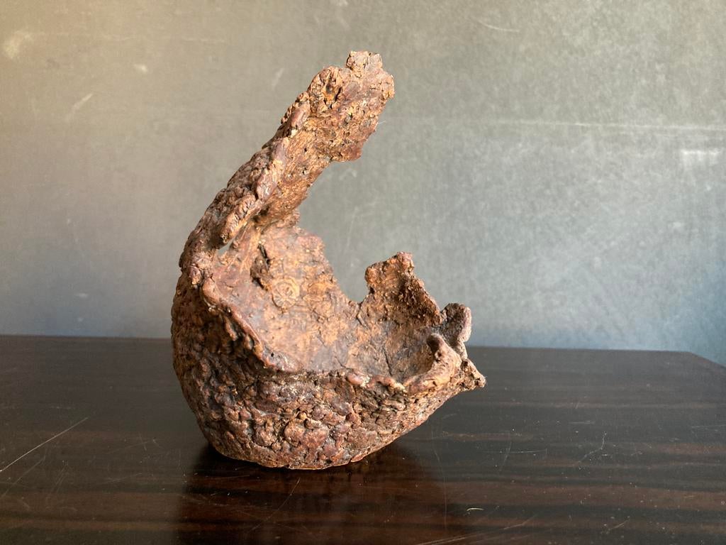 Bonsai maanschelp, Ophalen of Verzenden, Zo goed als nieuw, Minder dan 30 cm