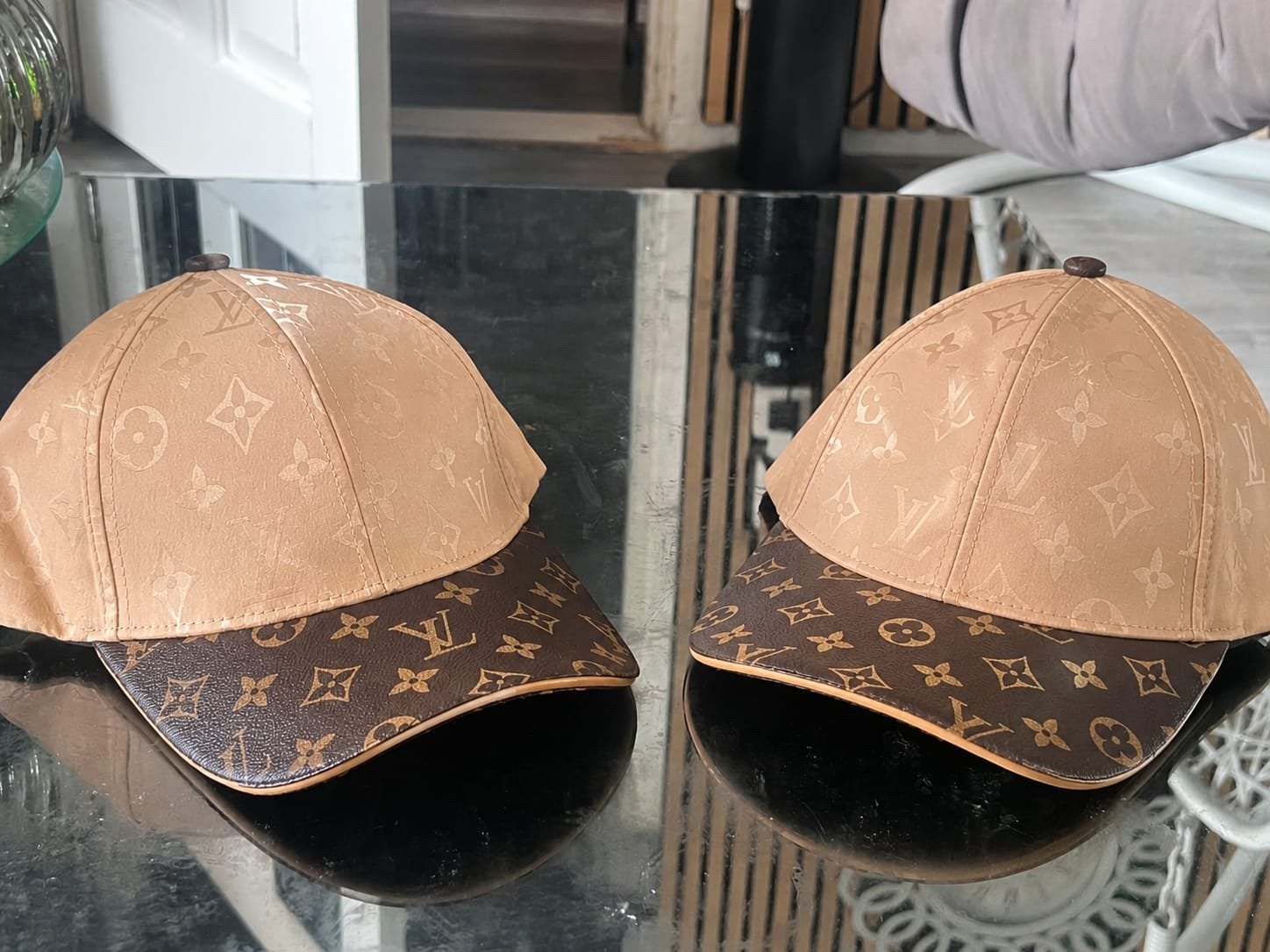 Louis vuitton gucci pet, Ophalen of Verzenden, Nieuw