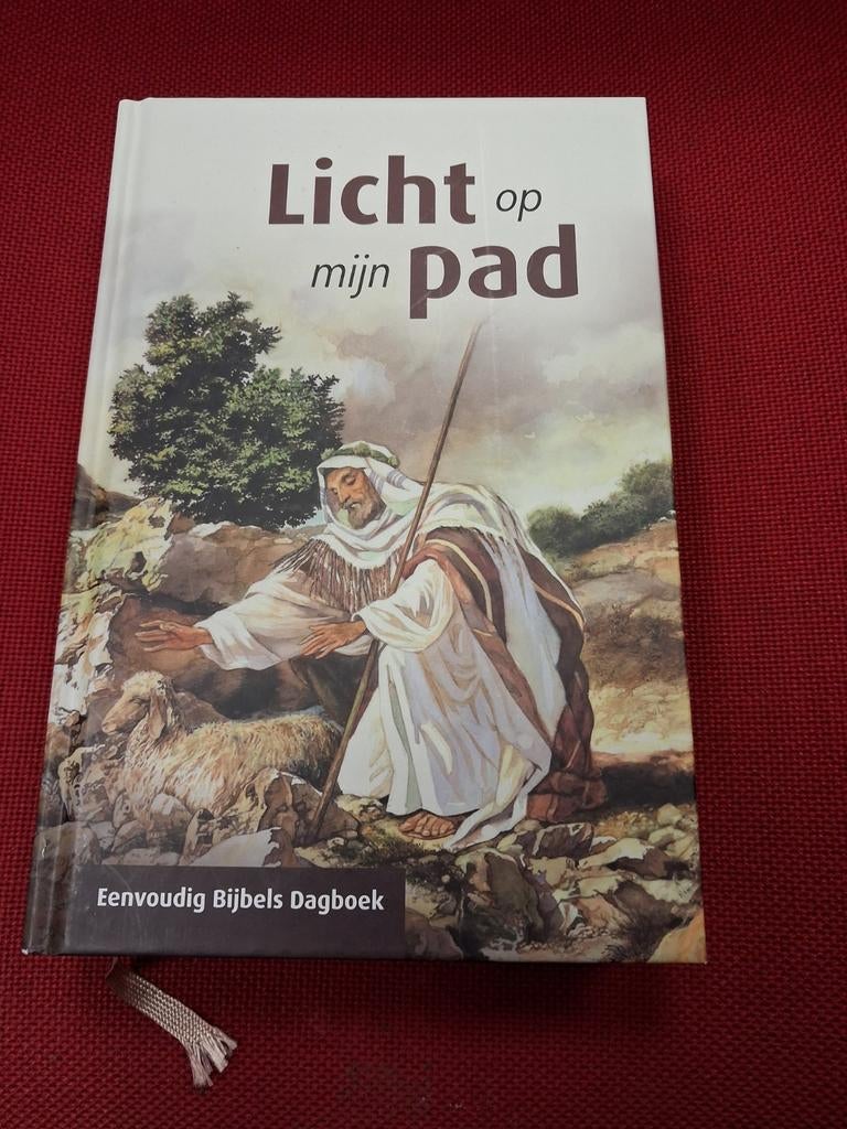 Licht op mijn pad - Eenvoudig Bijbels Dagboek  HSV WD-022/9, Boeken, Godsdienst en Theologie, Ophalen of Verzenden