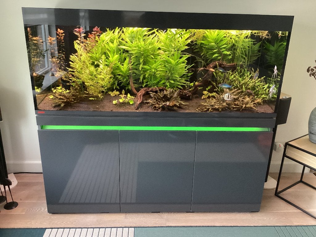 Eheim incpiria Aquarium, Ophalen, Inclusief vissen, Eheim, Gevuld zoetwateraquarium