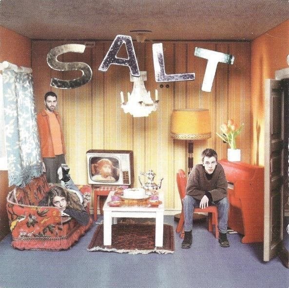 cd van Salt ‎– Auscultate, Verzenden, Zo goed als nieuw