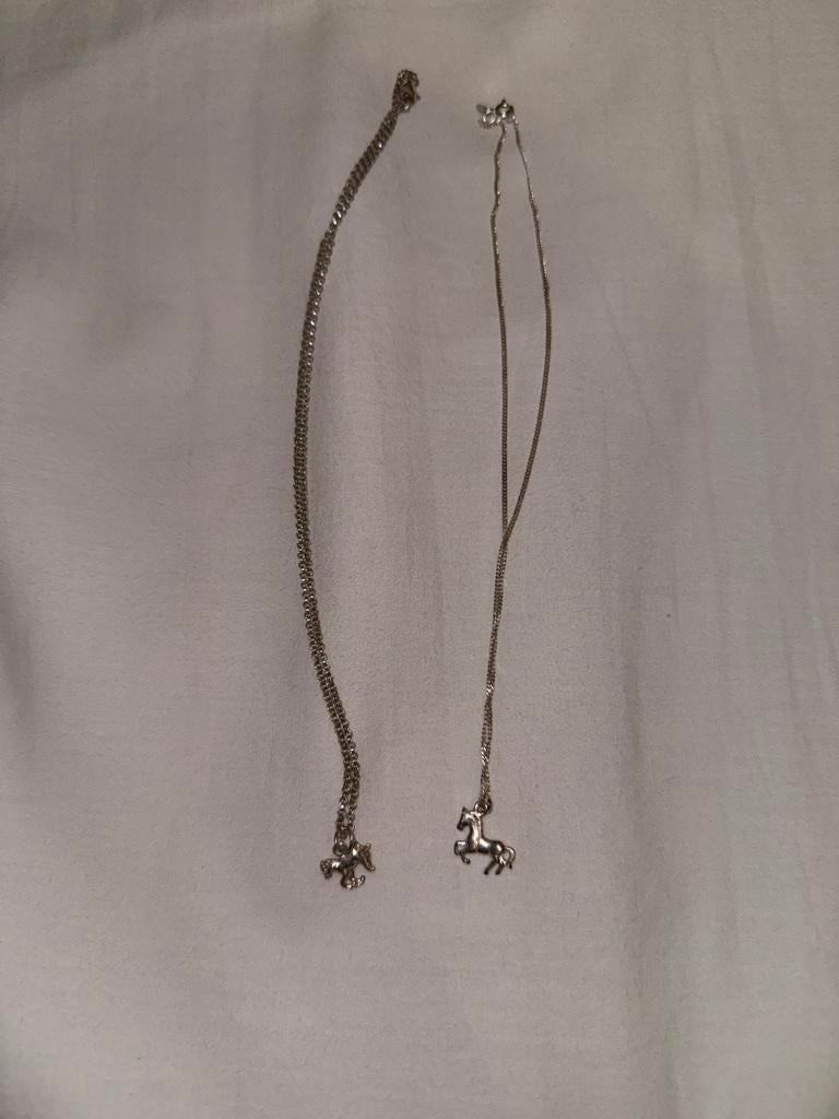 2 paarden kettings, Sieraden, Tassen en Uiterlijk, Kettingen, Ophalen of Verzenden, Gebruikt, Zilver, Overige materialen