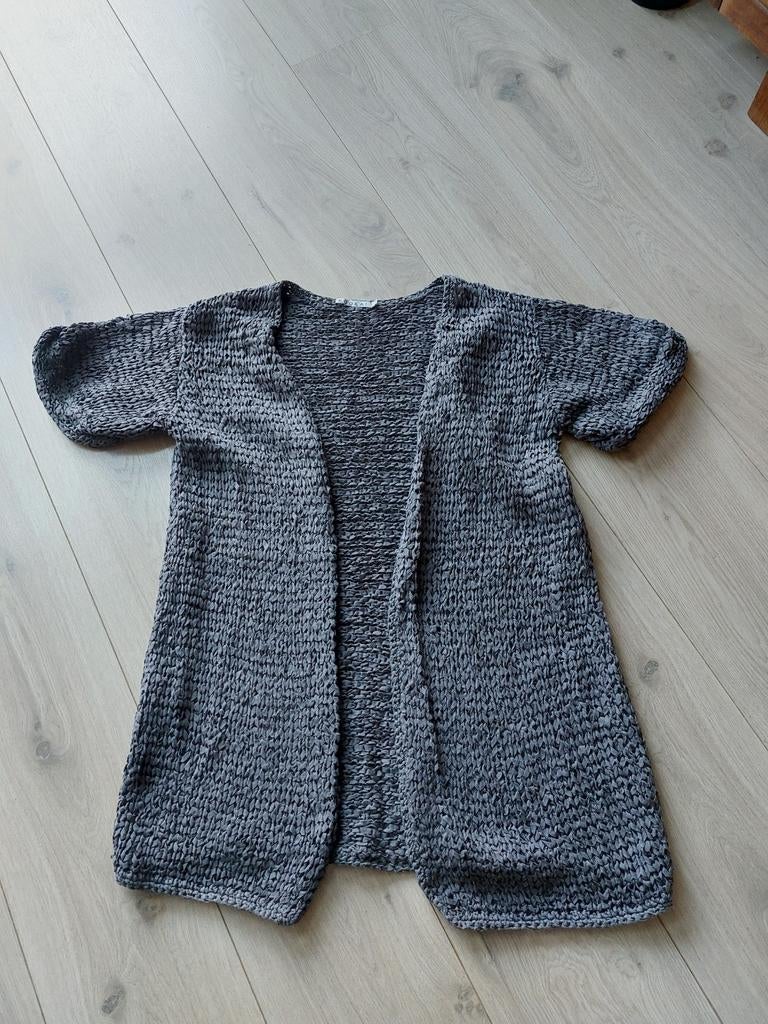 Kookai vest korte mouw, Kleding | Dames, Truien en Vesten, Ophalen of Verzenden, Zo goed als nieuw, Grijs