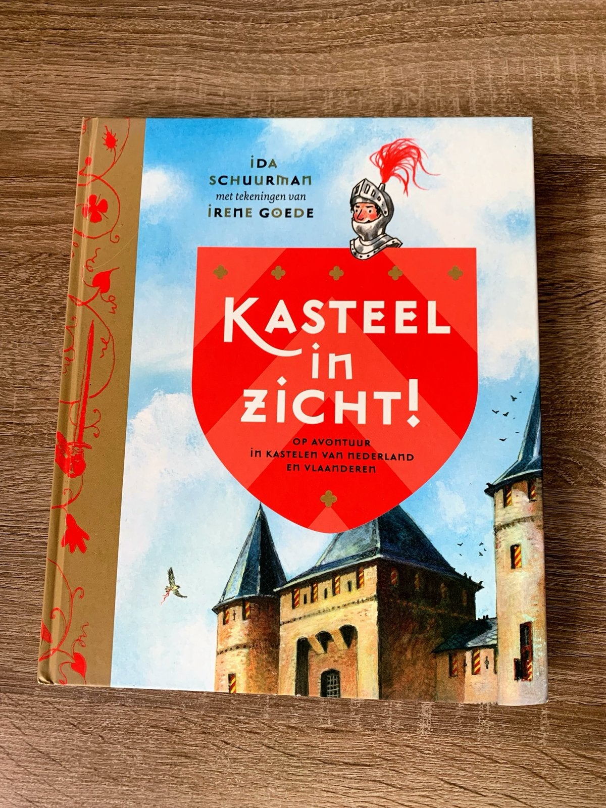 Kasteel in Zicht! Avontuur in kastelen van Nl & Vlaanderen, Ophalen of Verzenden, Zo goed als nieuw, Non-fictie