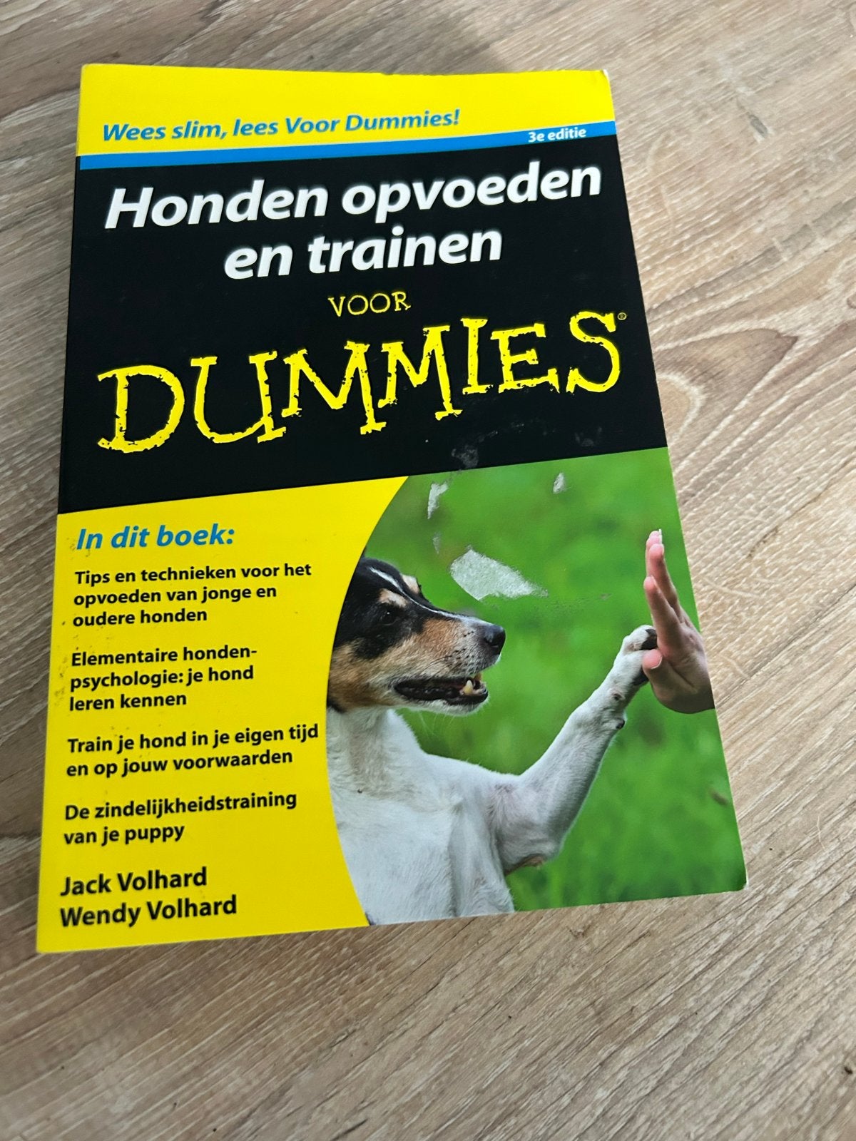 Boek: Honden opvoeden en trainen voor Dummies, Ophalen, Gelezen, Honden