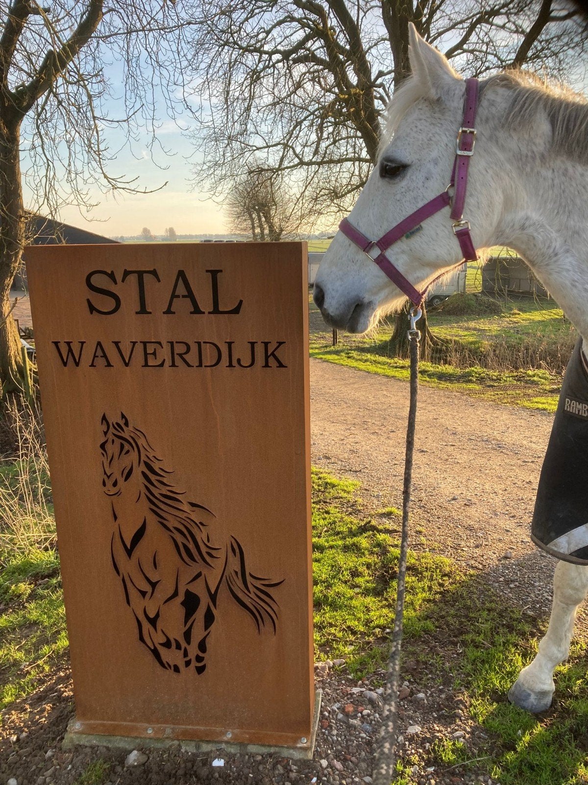 Stalling en Weidegang, Dieren en Toebehoren, Stalling en Weidegang, Stalling, Weidegang