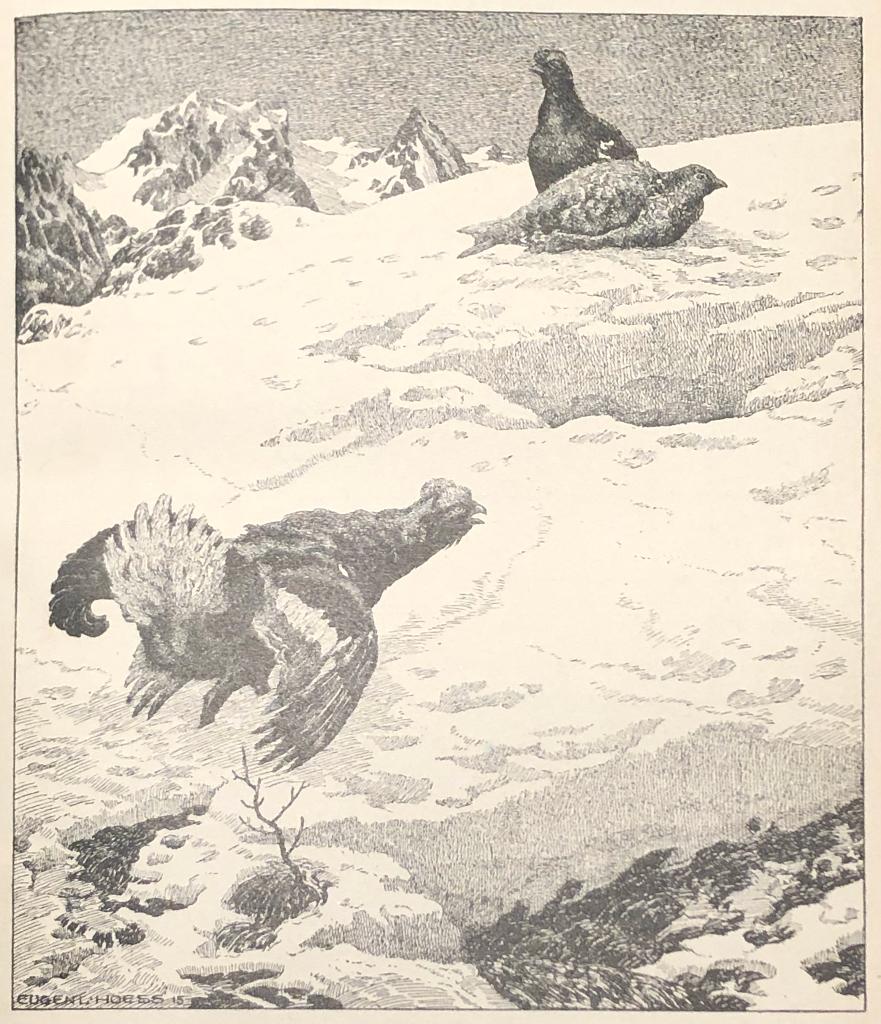 Mooie kunst bij het Grafiekkabinet Eugen Ludwig Hoess, Ophalen of Verzenden