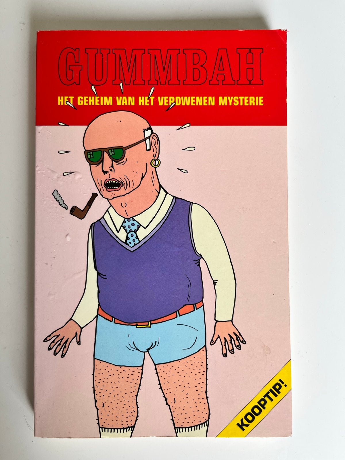 GUMMBAH - Het Geheim van het Verdwenen Mysterie 1e druk 1999, Boeken, Ophalen of Verzenden, Gelezen, Nederland