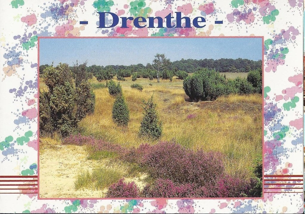 X2 gelopen ansichtkaart drenthe, Ophalen of Verzenden, 1980 tot heden, Gelopen, Drenthe