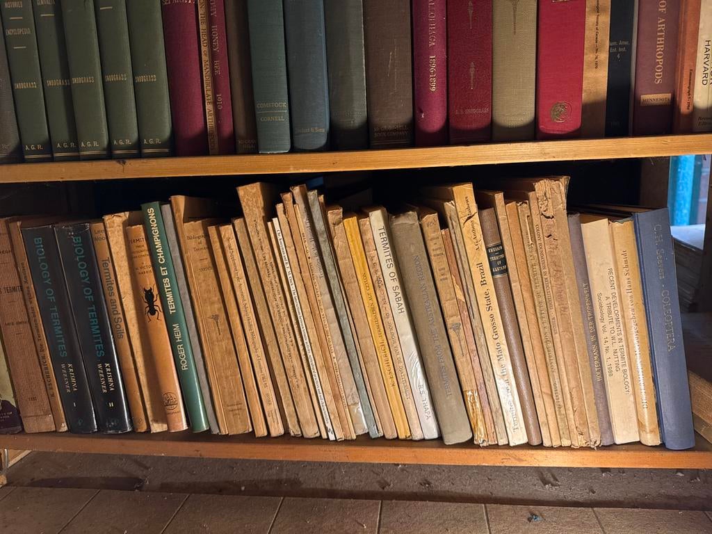 Collectie wetenschappelijke boeken over termieten, Ophalen of Verzenden, Gelezen, Wereld overig