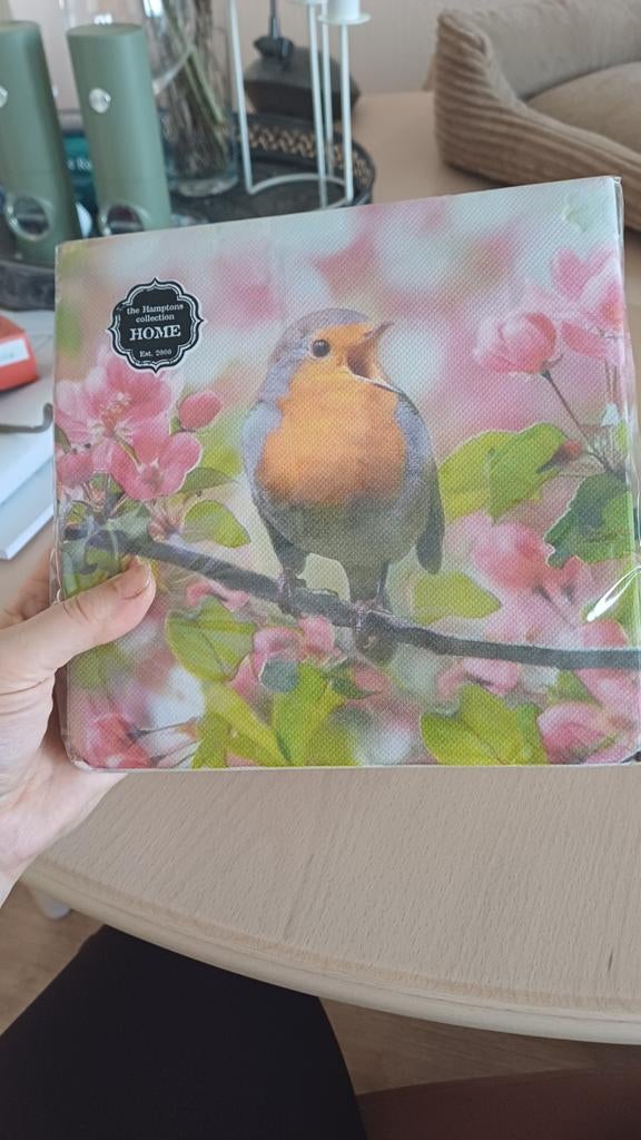 Servetten met roodborstje en bloesem, 20 stuks, nieuw, Huis en Inrichting, Ophalen, Overige typen, Nieuw, Papier/karton