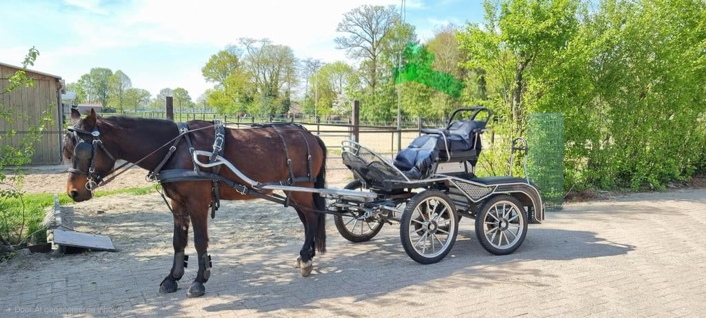 Menwagen cobb, Gebruikt, Marathonwagen, Paard of Pony