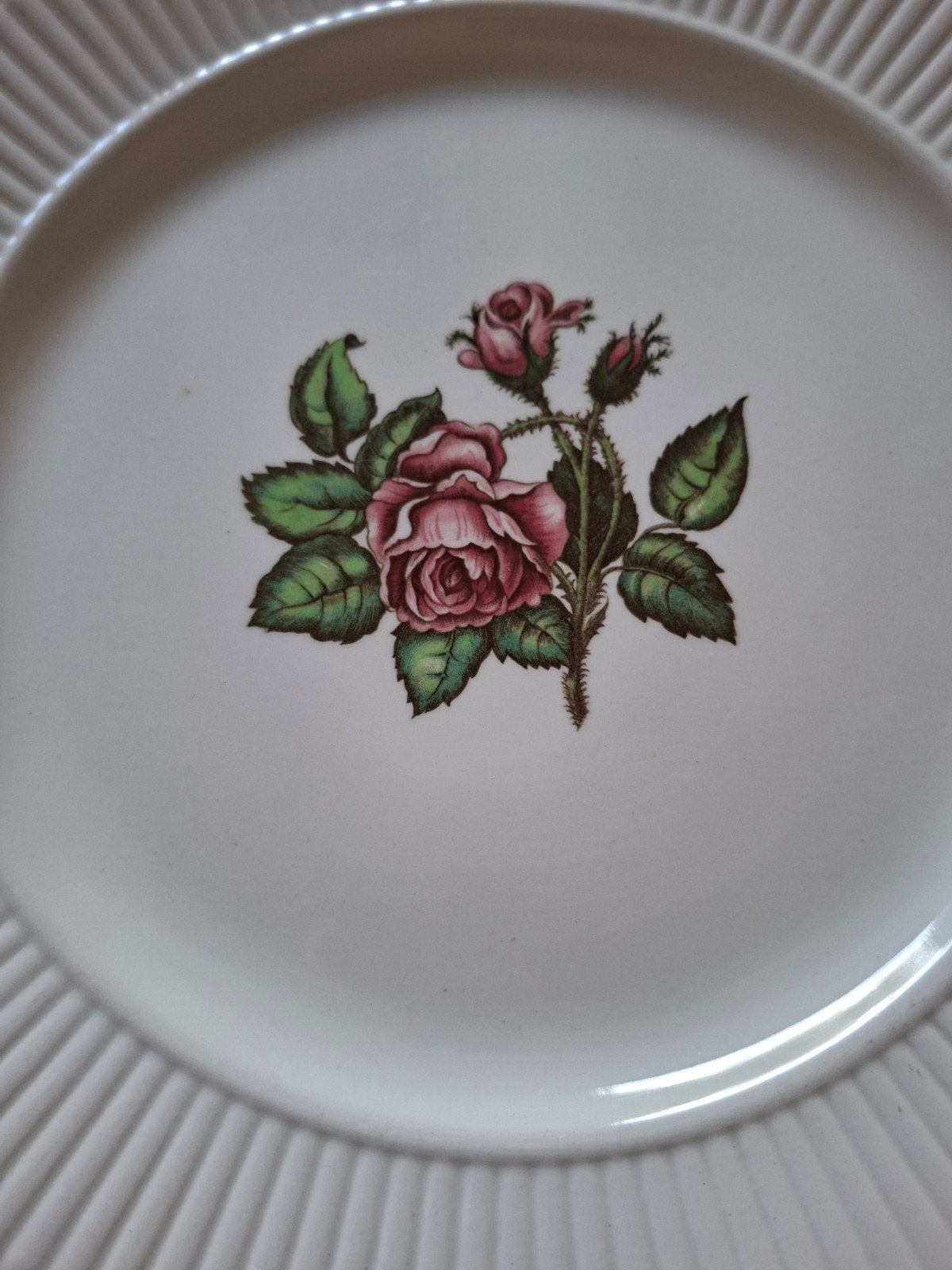 Wedgwood Moss Rose servies 10 stuks, Gebruikt, Landelijk/Boerenbont, Ophalen of Verzenden, Bord(en)