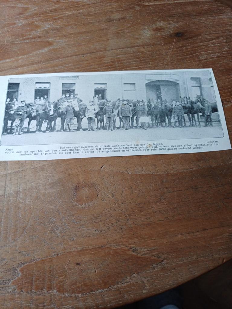 Knipsel grenswachters 17 paarden 1915, Ophalen of Verzenden, Overige soorten, Nederland, Embleem of Badge