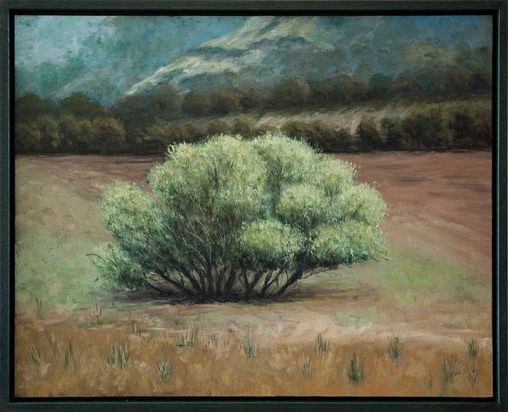 Olieverfschilderij – Wilg in het landschap, Antiek en Kunst, Paneel, Realistisch, Ophalen of Verzenden, Landschap