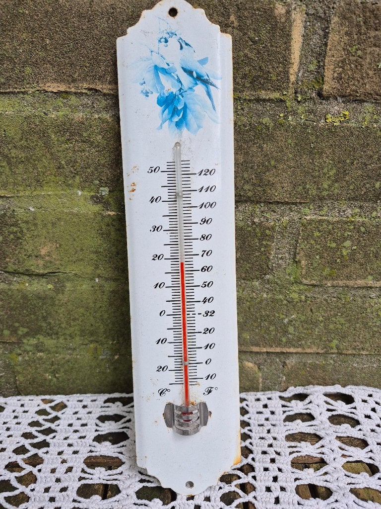 thermometer met Vogel en Bloemenprint, Gebruikt, Overige typen, Metaal, Ophalen of Verzenden