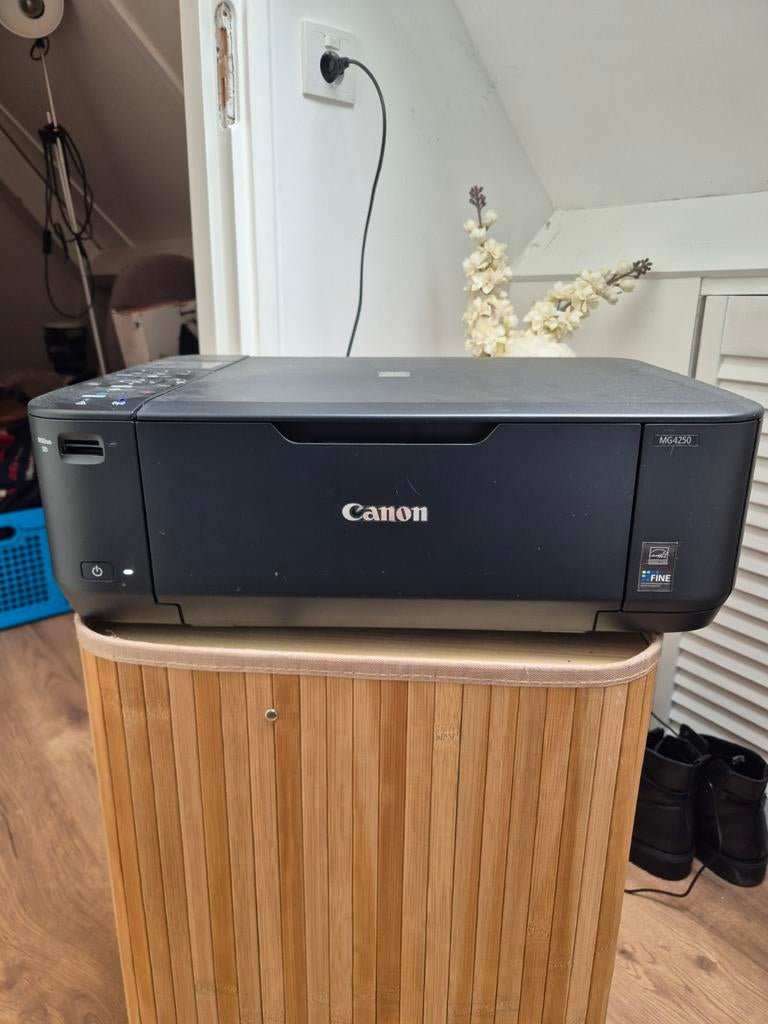 Canon Pixma MG4250 All-in-One Printer Scanner, Computers en Software, Printers, Gebruikt, All-in-one, Inkjetprinter, Kleur printen
