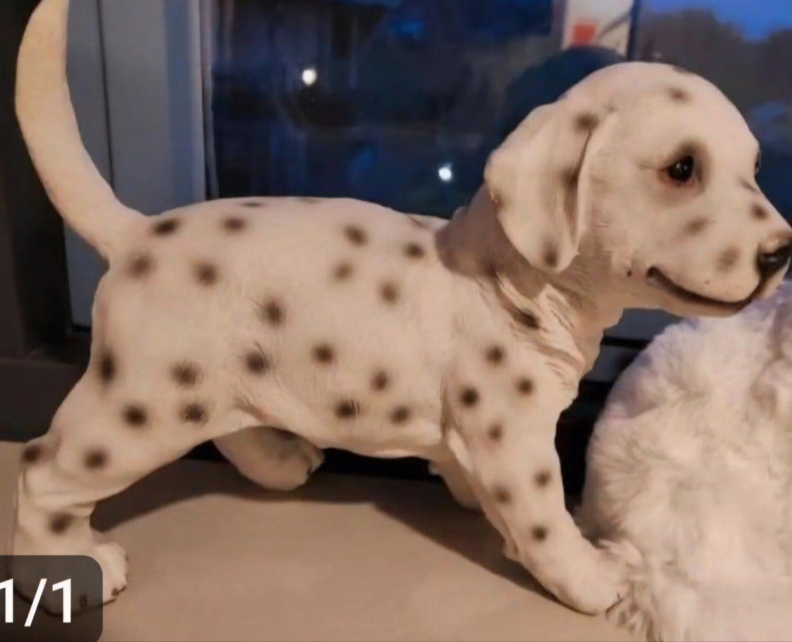 hondenbeeldje, Ophalen, Zo goed als nieuw, Hond of Kat, Beeldje of Figuurtje