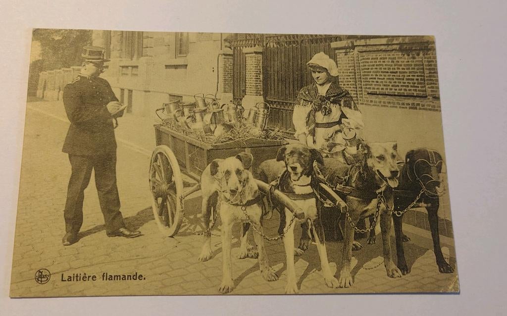 Frankrijk Feldpost Laitière flamande., Ophalen of Verzenden, Frankrijk