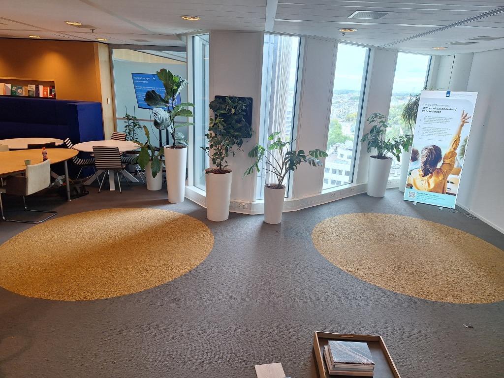 Vloeren egaliseren en leggen, Diensten en Vakmensen, Vloerleggers en Parketteurs, Laminaat of Parket