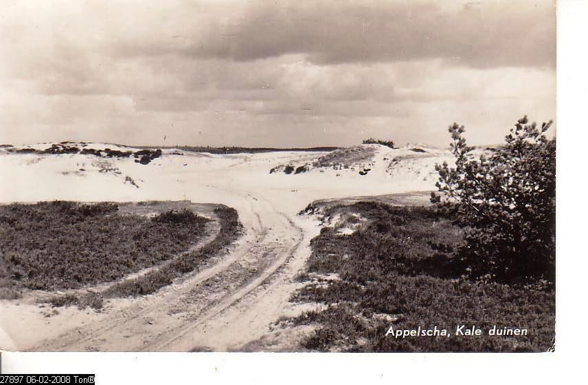 Ansichtkaart	Appelscha	CR "Duinen-Zathe"	Kale duinen, Ophalen of Verzenden, 1960 tot 1980, Gelopen, Friesland