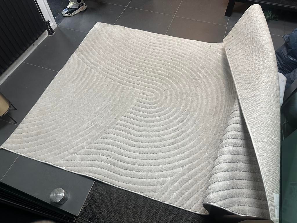 Japandi vloerkleed, Ophalen, Gebruikt, Rechthoekig, 200 cm of meer