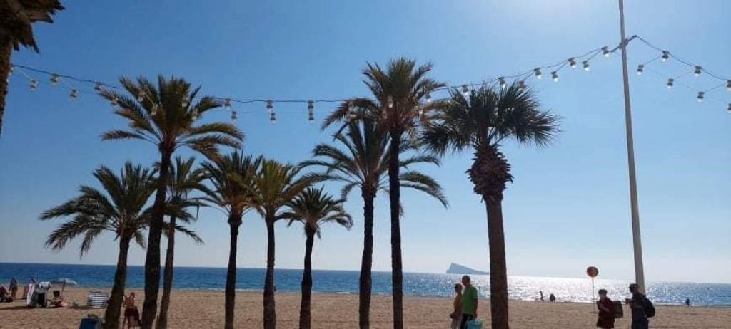 LAST MINUTE 13/8 - 13/9: Vakantieapp. Benidorm - met zwembad, Vakantie, Vakantiehuizen | Spanje, Costa Blanca, Appartement, Stad