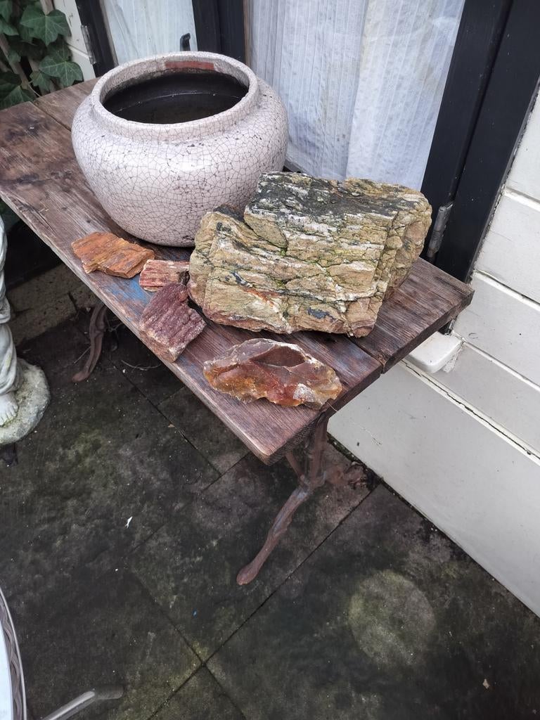 Versteend hout, Ophalen of Verzenden, Fossiel