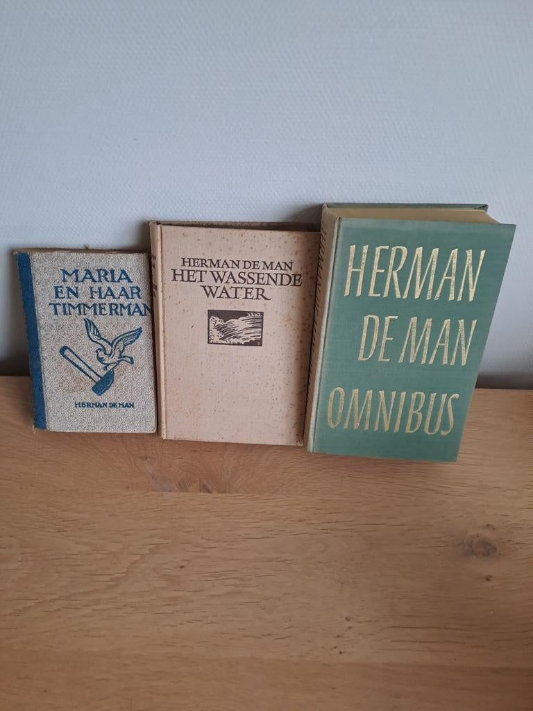 Herman de Man, Ophalen of Verzenden, Gelezen