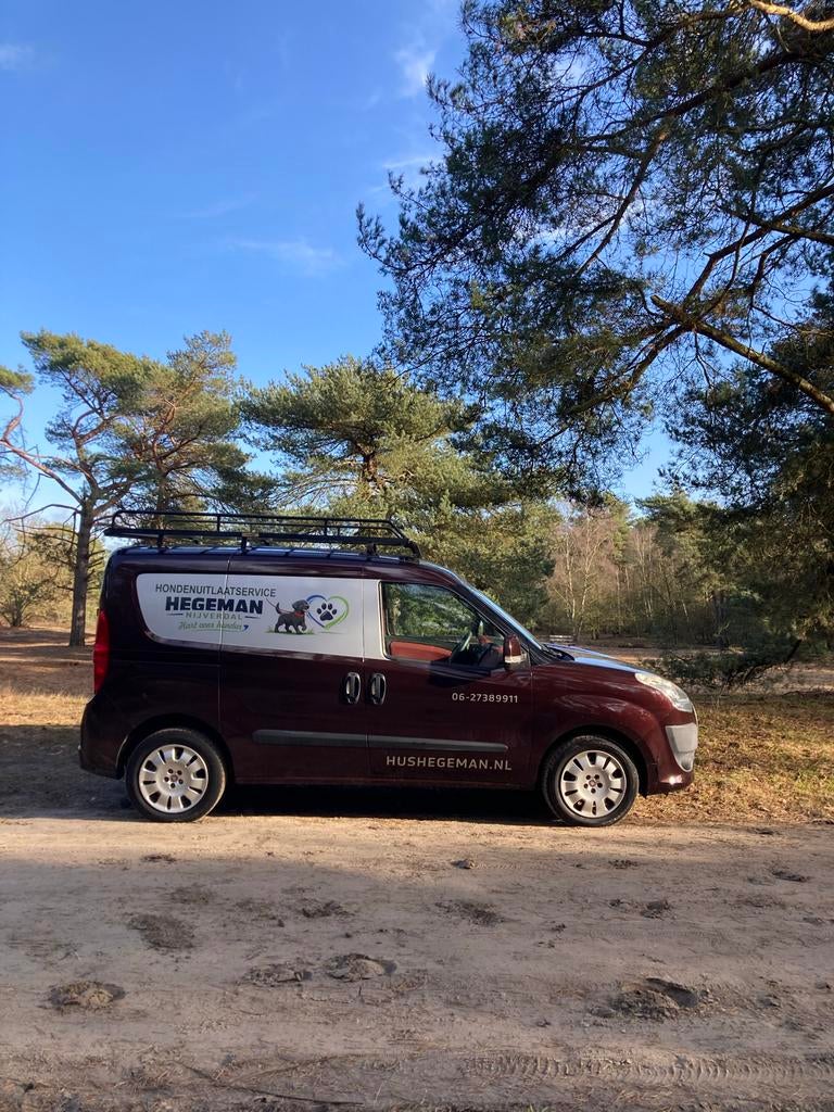 Hondenuitlaatservice in Nijverdal, Ophalen