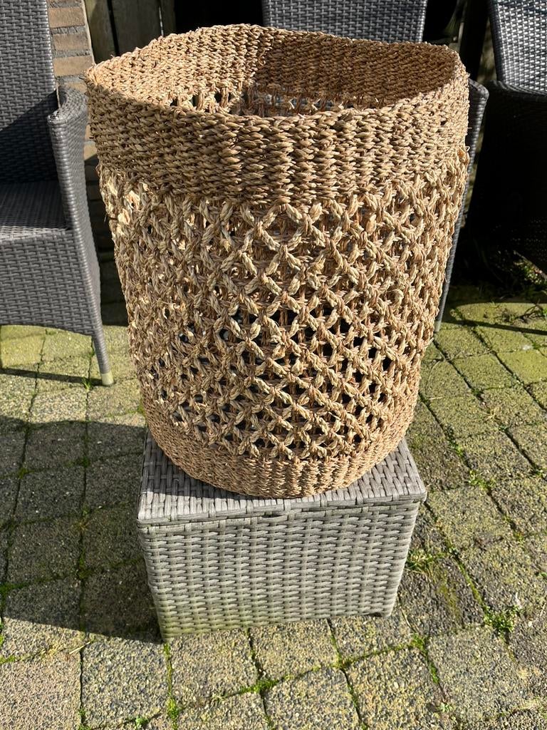 Planten mand. / zeegras, Ophalen, Halfschaduw, Minder dan 100 cm