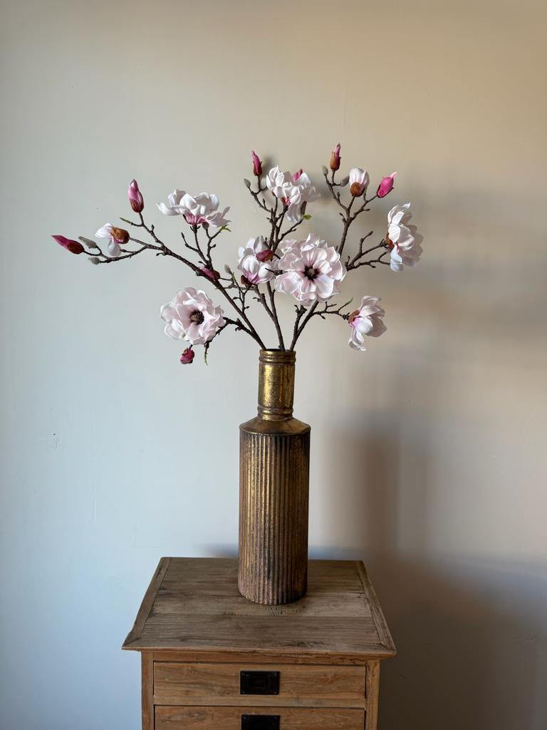 Prachtige magnoliatakken, Ophalen of Verzenden, Nieuw