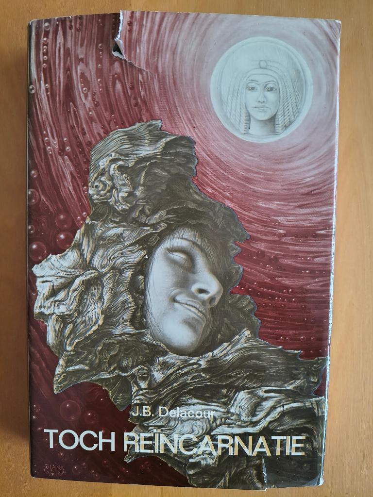 Toch reïncarnatie, Boeken, Spiritualiteit algemeen, Overige typen, Ophalen of Verzenden, Zo goed als nieuw