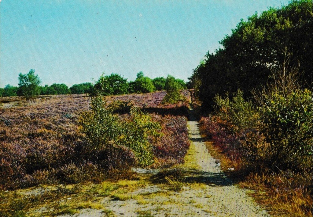 Schaarsbergen              660, Ophalen of Verzenden, Voor 1920