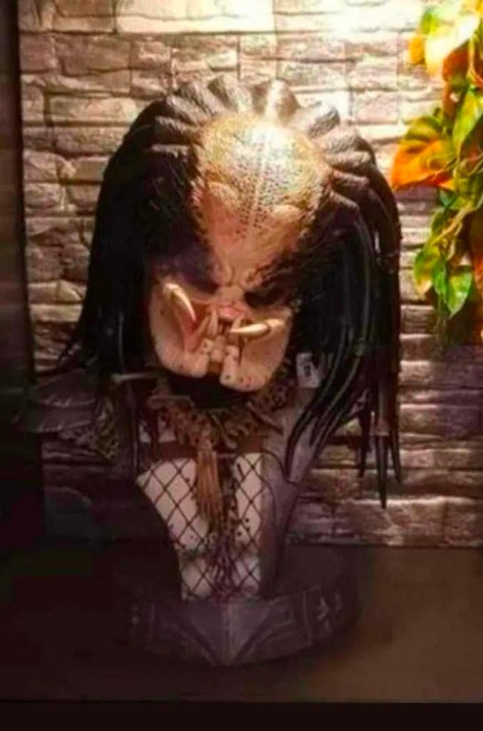 Sideshow predator legendary scale bust, Verzamelen, Ophalen of Verzenden, Zo goed als nieuw