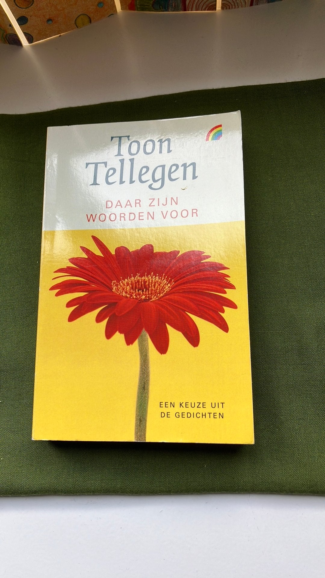 Toon Tellegen - Daar zijn woorden voor. Gedichten, Ophalen of Verzenden, Zo goed als nieuw, Toon Tellegen