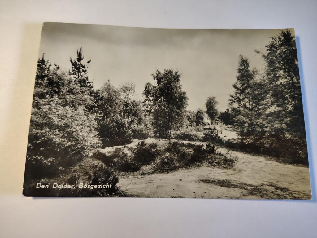 Den Dolder Bosgezicht, Ophalen of Verzenden