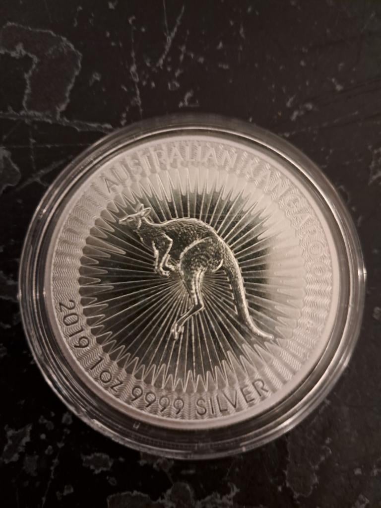 Australian Kangaroo 2019 munt meer in de beschrijving, Verzenden, Zilver