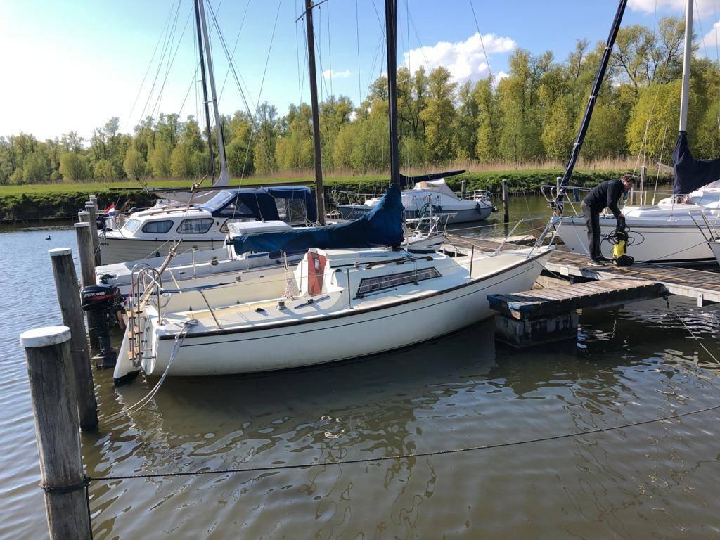 Zeilboot Oceaan 22 | Nieuw Grootzeil (2024) + Mercury 8PK, Watersport en Boten, 8 pk, Gebruikt, Viertaktmotor, 110 cm